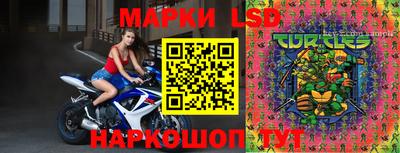 круглые Будённовск