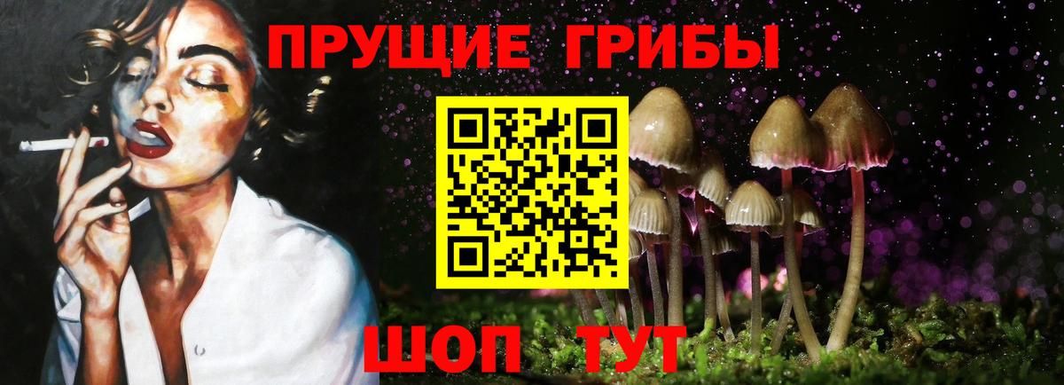 Луга  Галлюциногенные грибы Cubensis  Вход с VPN  Галлюциногенные грибы ЛСД 