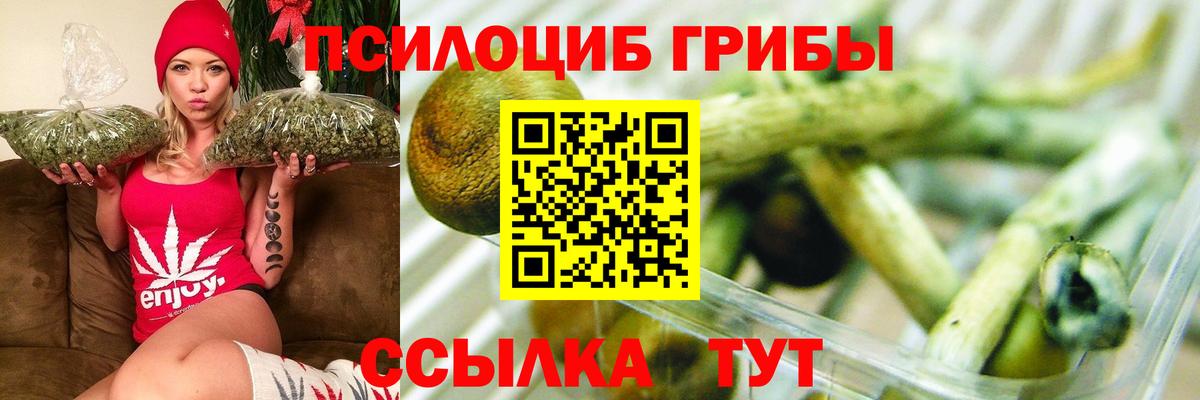 Галлюциногенные грибы ЛСД Луга